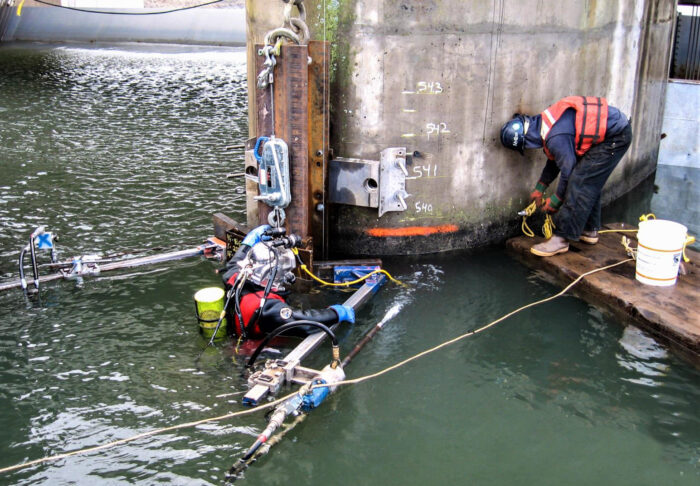 UBC Diver in water